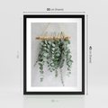 Plakat w ramie 30x40 - Uwodzicielska zieleń eukaliptusa - eukaliptus, zielone - rama czarna