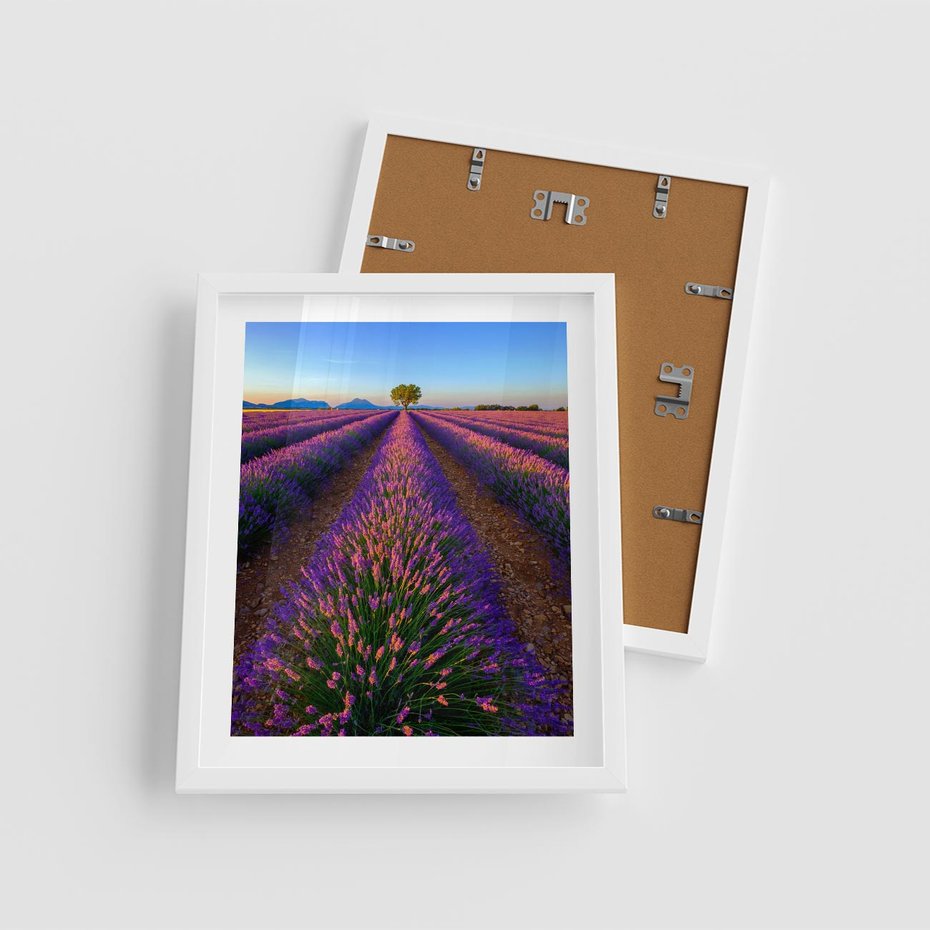 Plakat w ramie 40x50 - Fioletowa Magia - pole, lawendy - rama biała