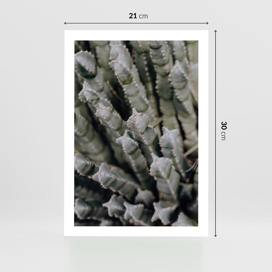 Plakat bez ramy 21x30 - Boho kaktusy na pustyni - kaktusy, pustynia