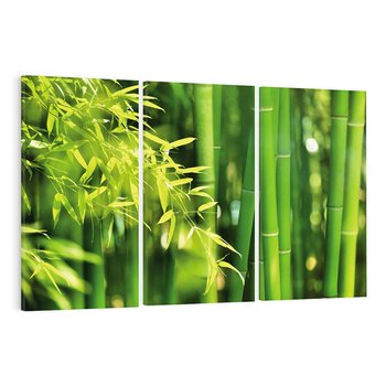 Obraz na płótnie 120x80 - Spokój bambusowego lasu SPA - bambus, drzewa