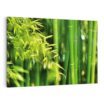 Obraz na płótnie 120x80 - Spokój bambusowego lasu SPA - bambus, drzewa