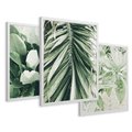 Zestaw obrazy w ramie 40x50 galeria - Liście, palma, monstera - rama biała