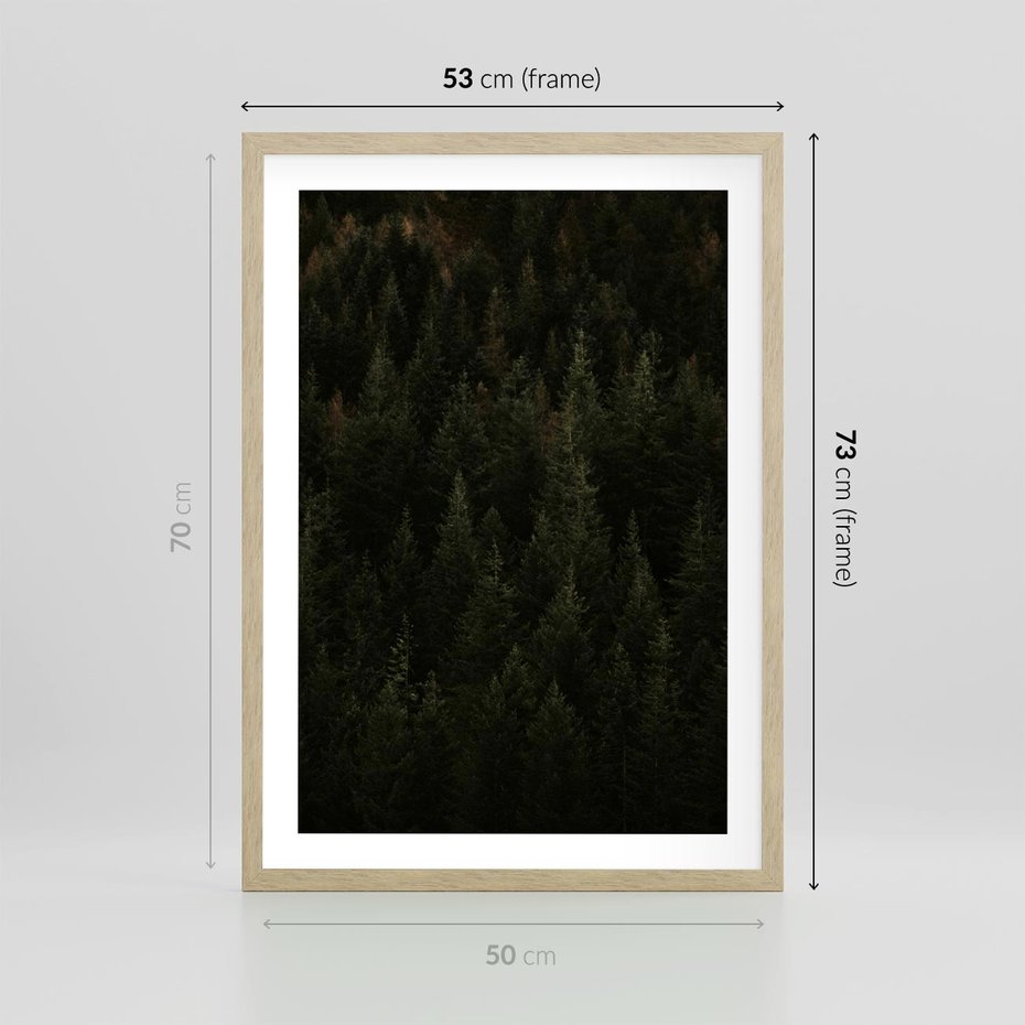 Plakat w ramie 50x70 - Ciemny las iglasty - las, iglasty - rama drewno