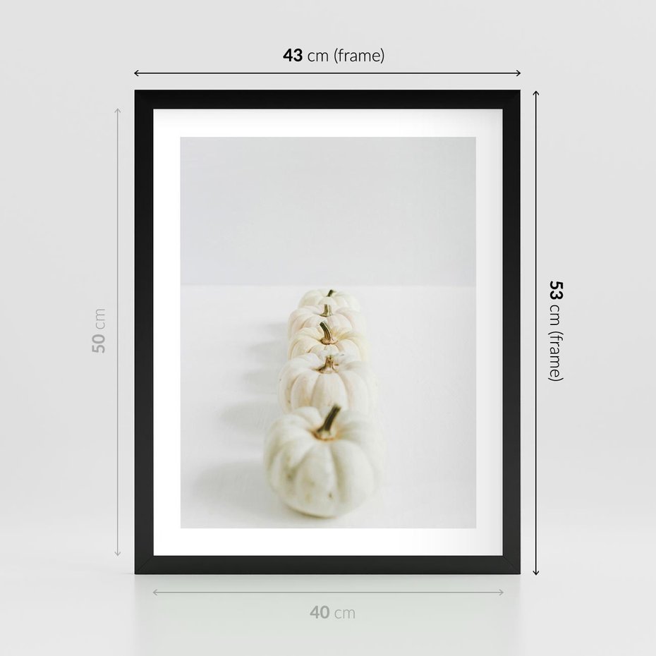 Plakat w ramie 40x50 - Białe Dynie - białe dynie, jesień - rama czarna