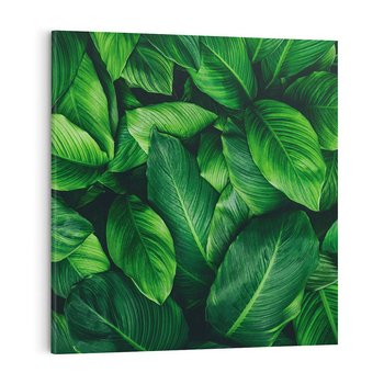 Obraz na płótnie 40x40 - Palma Liście Kwiat - palma, liście