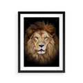 Plakat w ramie 30x40 - Król zwierząt w majestatycznym stylu - lew, król - rama czarna