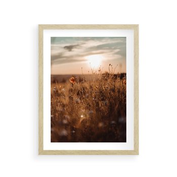 Plakat w ramie 40x50 - Zachwyt zachodem słońca na łące - zachód, słońca - rama drewno