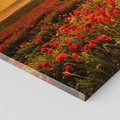 Obraz na płótnie 100x70 - Makowe uczucia - maki, kwiaty