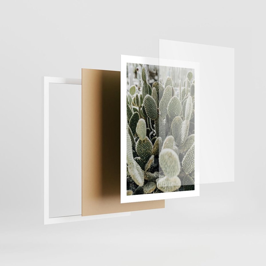 Plakat w ramie 50x70 - Kaktusowa Harmonia - kaktusy, fotografia - rama biała