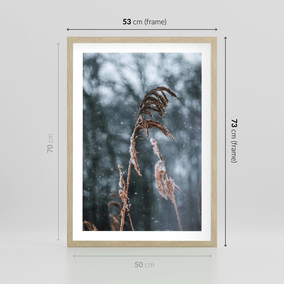 Plakat w ramie 50x70 - Zima na Łonie Natury - sucha wysoka trawa, w zimie - rama drewno
