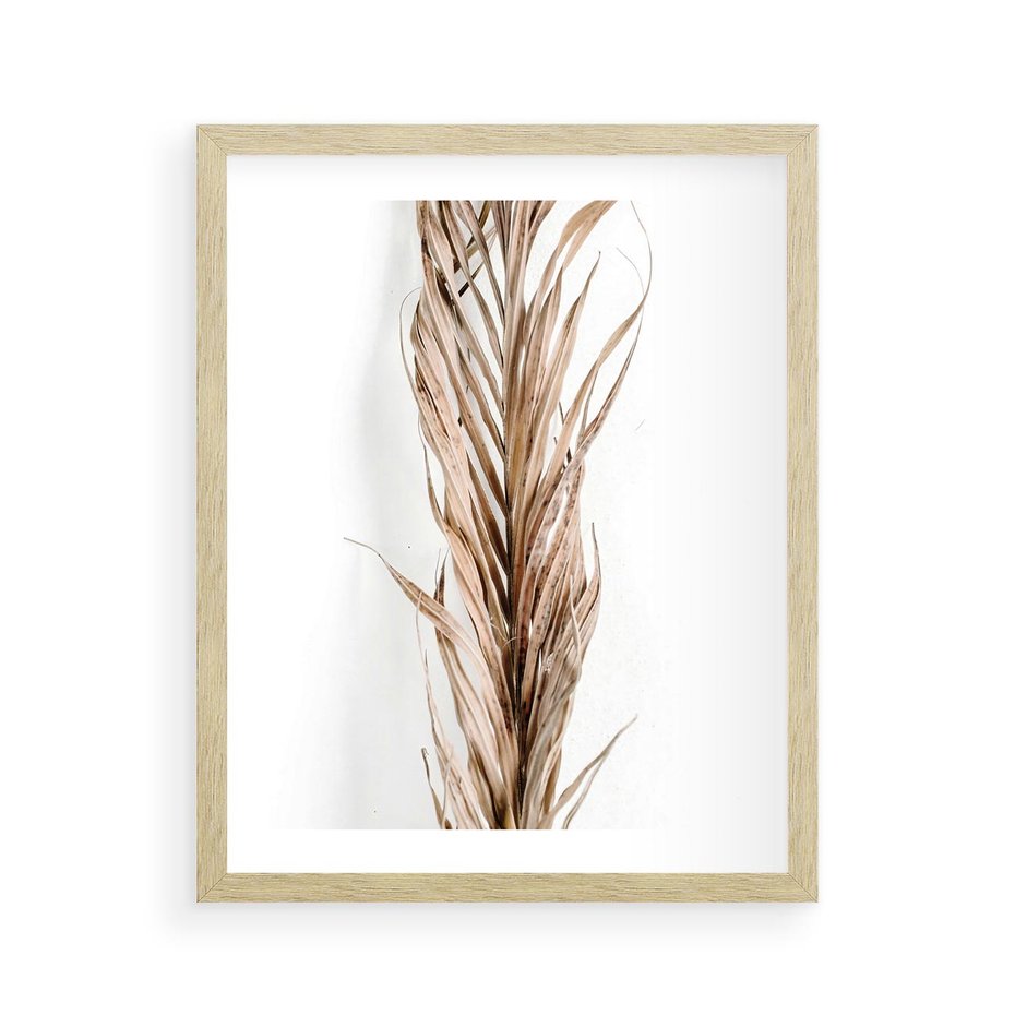 Plakat w ramie 40x50 - Minimalizm Palmowy: Sucha Uroda - sucha palma, minimalizm - rama drewno