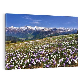 Obraz na płótnie 120x80 - Wiosenne Czarowanie - krokusy, góry