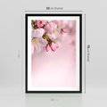 Plakat w ramie 50x70 - Kwitnąca wiśnia: delikatność natury - kwitnąca, wiśnia - rama czarna