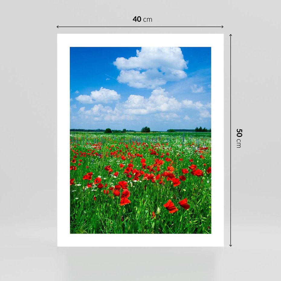 Plakat bez ramy 40x50 - Kolorowa łąka pełna maku - łąka, maki