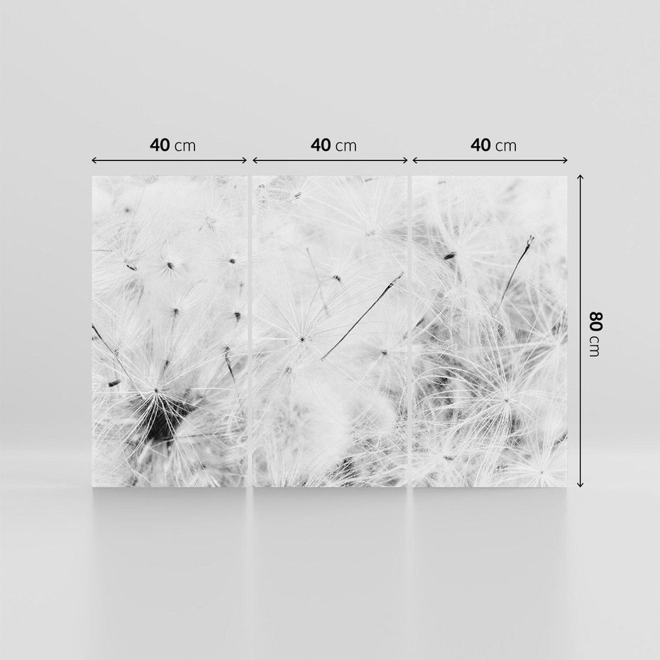 Obraz na płótnie 120x80 - Zdmuchnięty Puch - dmuchawce, delikatne