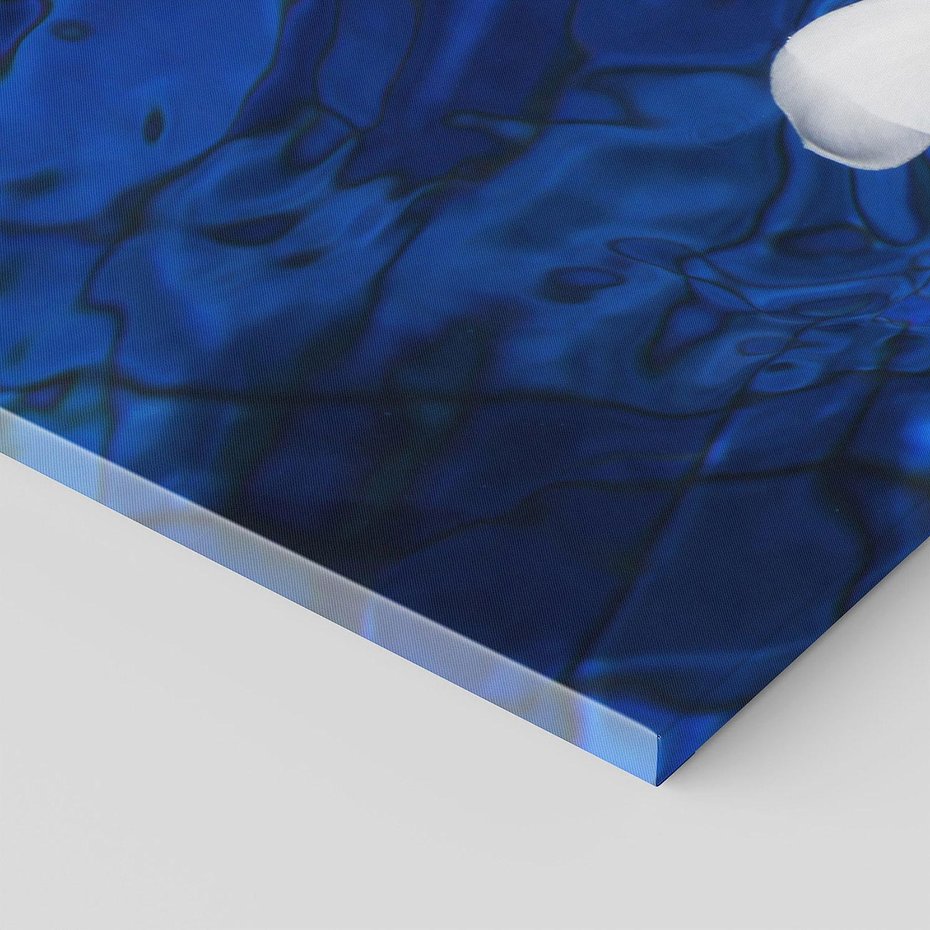 Obraz na płótnie 100x50 - Kwiaty wodne delikatność natury - kwiat, woda