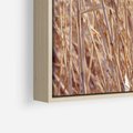 Obraz w ramie 50x50 - Mistrzowskie suche trawy - suche, trawy - rama drewno