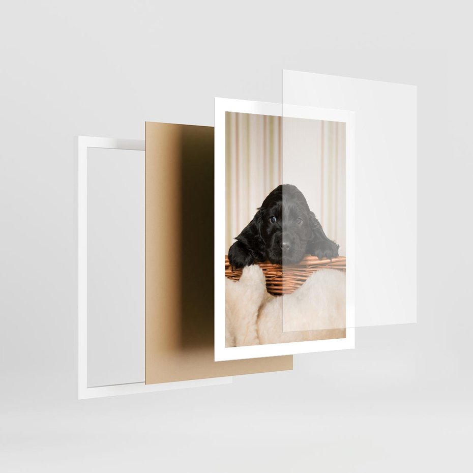 Plakat w ramie 50x70 - Uroczy szczeniak w akcji - piesek, szczeniak - rama biała