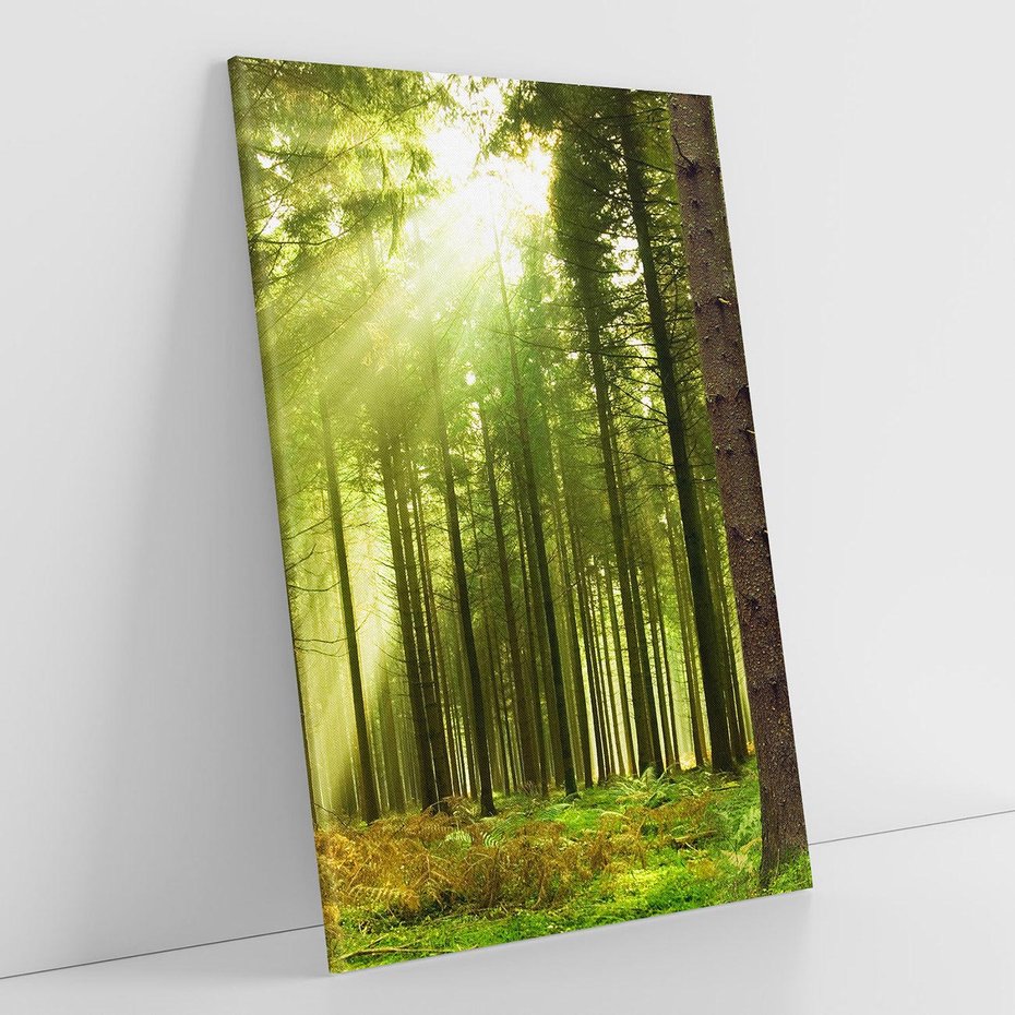 Obraz na płótnie 50x70 - Spokój wśród drzew: las w odcieniach zieleni - las, drzewa