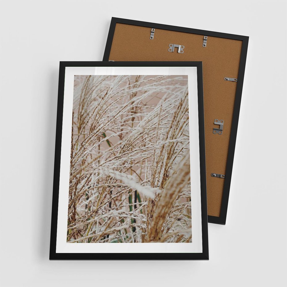 Plakat w ramie 50x70 - Beżowa Trawa - suche trawy, zbliżenie - rama czarna