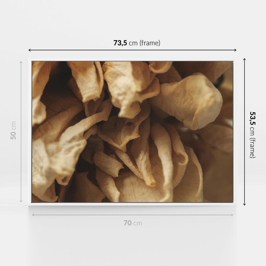 Obraz w ramie 70x50 - Zjawiskowe zasuszone kwiaty - zasuszone, kwiaty - rama biała