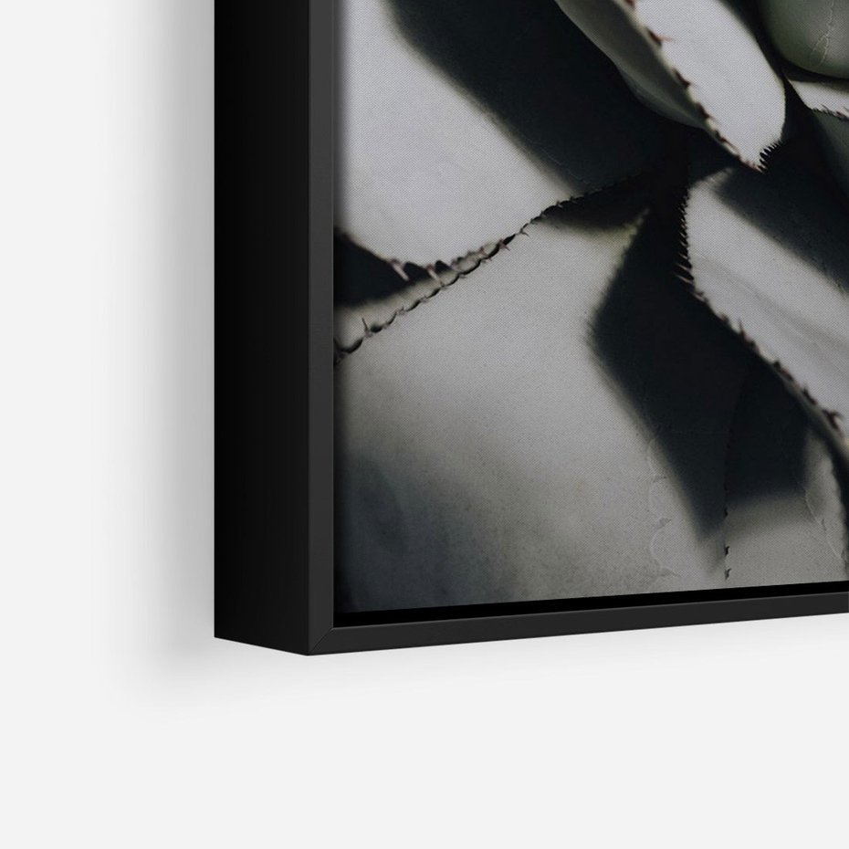 Obraz w ramie 50x70 - Sukulenty wśród kaktusów - sukulenty, kaktusy - rama czarna