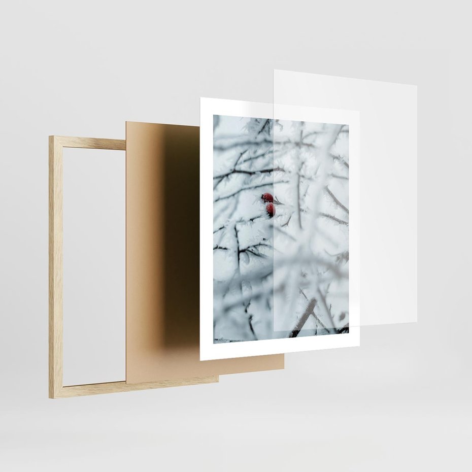 Plakat w ramie 40x50 - Zima w Detalu: Gałęzie ze Szronem i Śniegiem - śnieg, zima - rama drewno