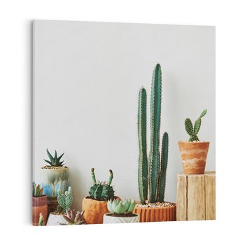 Obraz na płótnie 30x30 - Naturalna Harmonia - kaktusy, liście