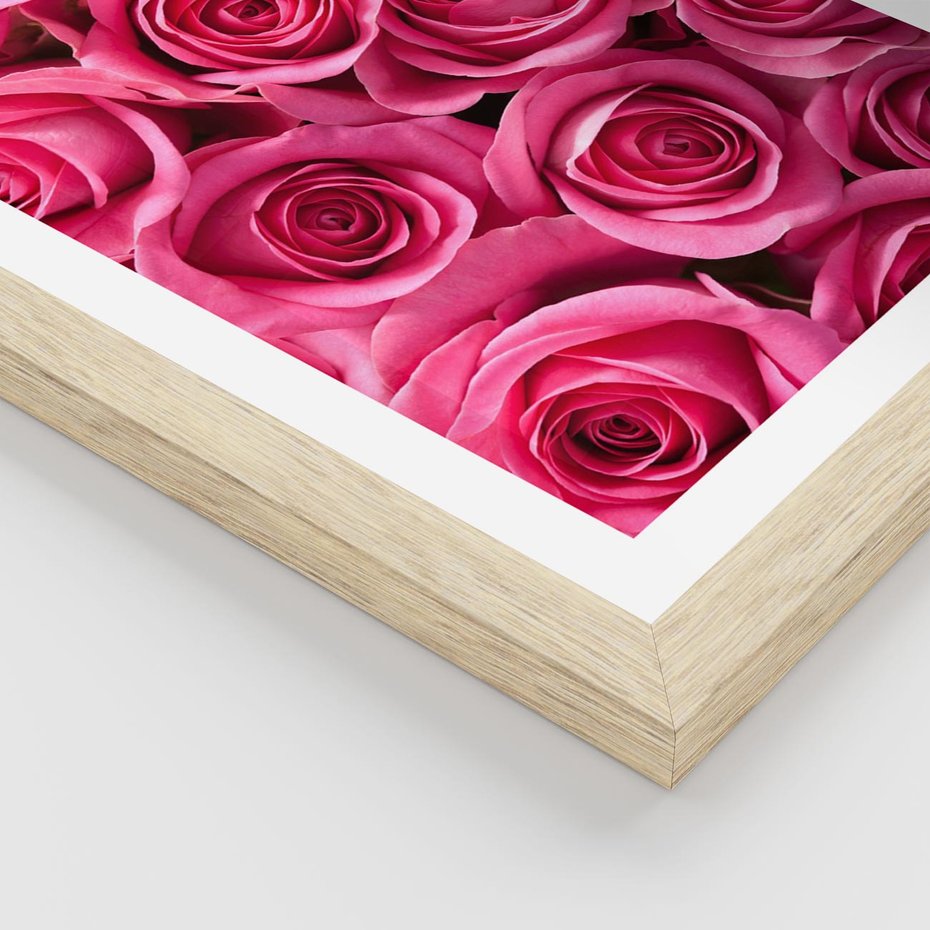 Plakat w ramie 40x50 - Romantyczne róże w pełnym rozkwicie - róże, kwiaty - rama drewno