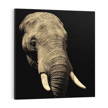 Obraz na płótnie 40x40 - Potężny słoń Afryki - safari, afryka