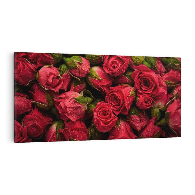 Obraz na płótnie 100x50 - Piękno róż: delikatność natury - róże, kwiaty