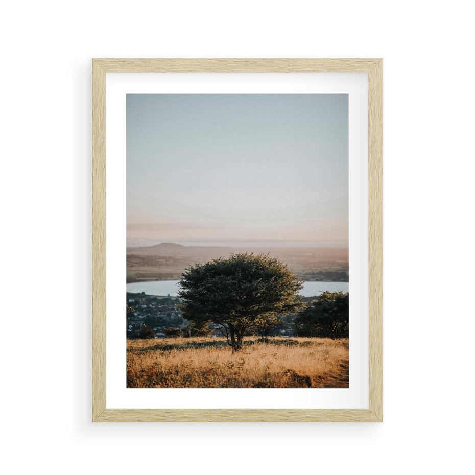 Plakat w ramie 40x50 - Siła Natury - drzewo, pejzaż - rama drewno