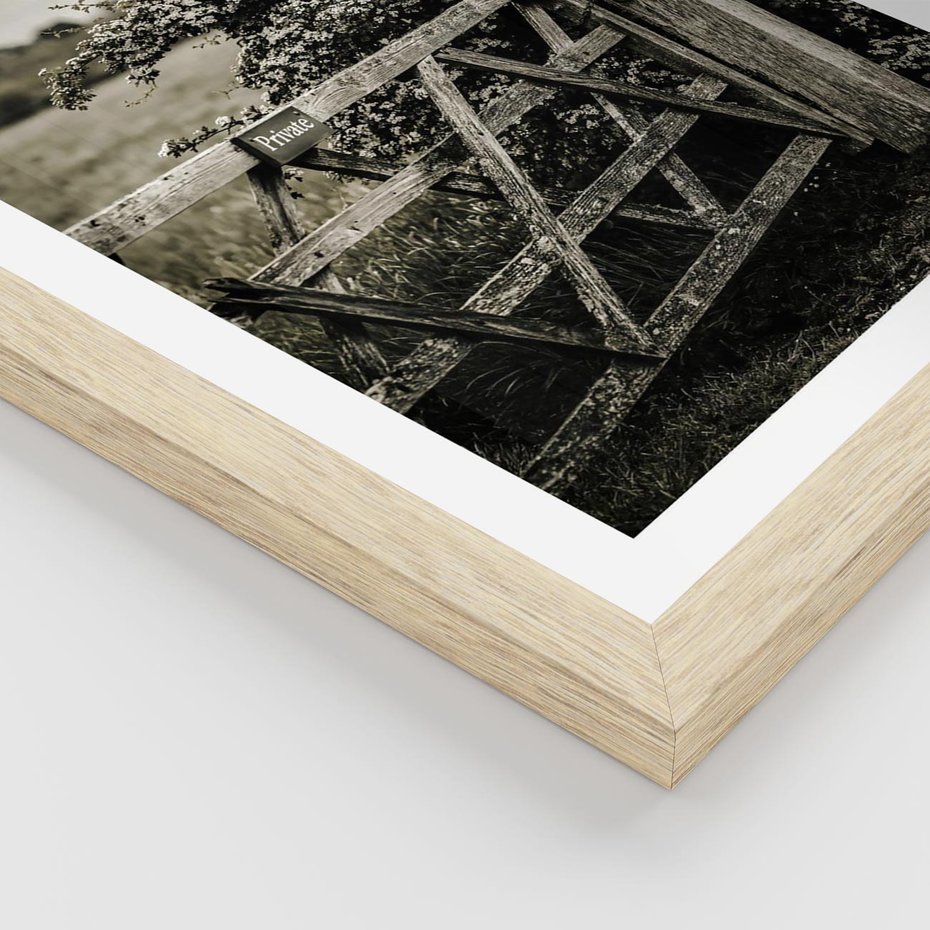 Plakat w ramie 30x40 - Wiejski Urok: Stary Płot i Kwitnący Krzew - rustykalne zdjęcie, stary płot - rama drewno