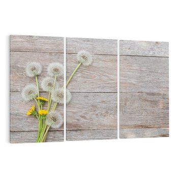 Obraz na płótnie 120x80 - Delikatne dmuchawce w otoczeniu natury - dmuchawce, natura