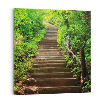 Obraz na płótnie 40x40 - Lasowa ścieżka pełna tajemnic - ścieżka, schody