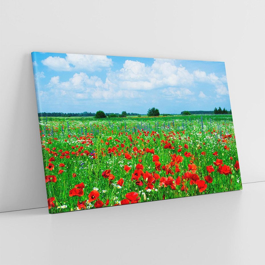 Obraz na płótnie 120x80 - Kolorowa łąka pełna maku - łąka, maki