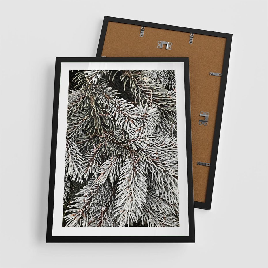 Plakat w ramie 50x70 - Cisza Zimowej Natury - zima, iglaste gałązki - rama czarna