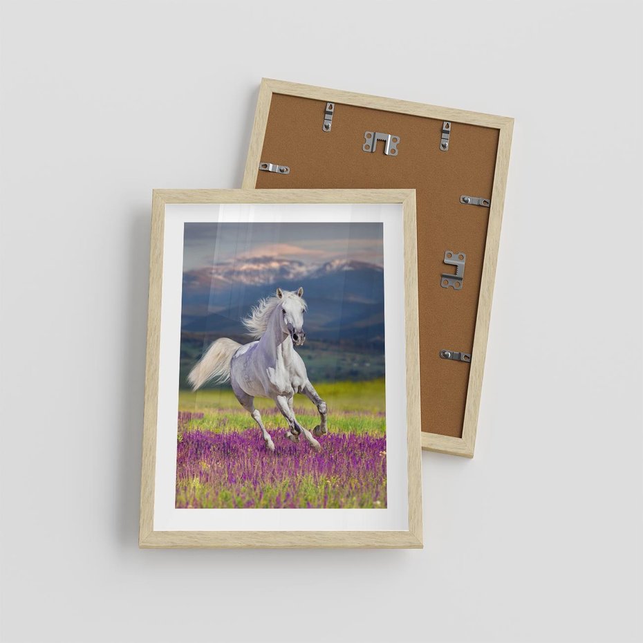 Plakat w ramie 30x40 - Koń Góry: Spotkanie z Wielką Przyrodą - koń, góry - rama drewno