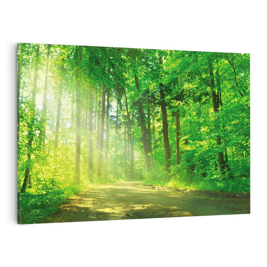 Obraz na płótnie 100x70 - Urok lasu na drodze - las, drzewa