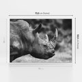 Obraz w ramie 70x50 - Potęga Afryki - czarno biała fotografia, zbliżenie na postać nosorożca - rama biała