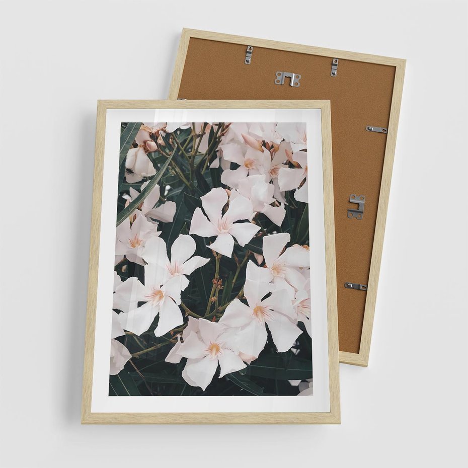 Plakat w ramie 50x70 - Egzotyczna Uroda - białe kwiaty, tropikalne kwiaty - rama drewno