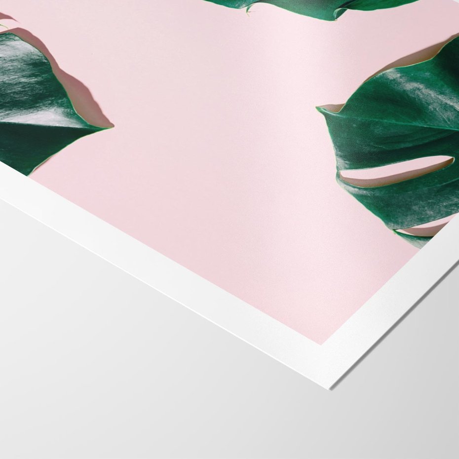 Plakat bez ramy 40x50 - Siła Natury - liście, monstera