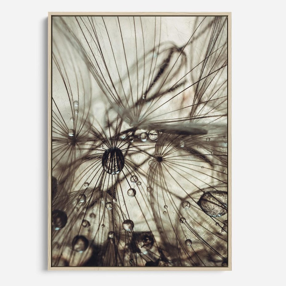 Obraz w ramie 80x120 - Lekkie dmuchawce - dmuchawce, krople - rama drewno