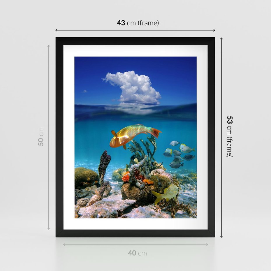Plakat w ramie 40x50 - Podwodna rafa koralowa: kolorowy oceanowy świat - rafa, koralowa - rama czarna