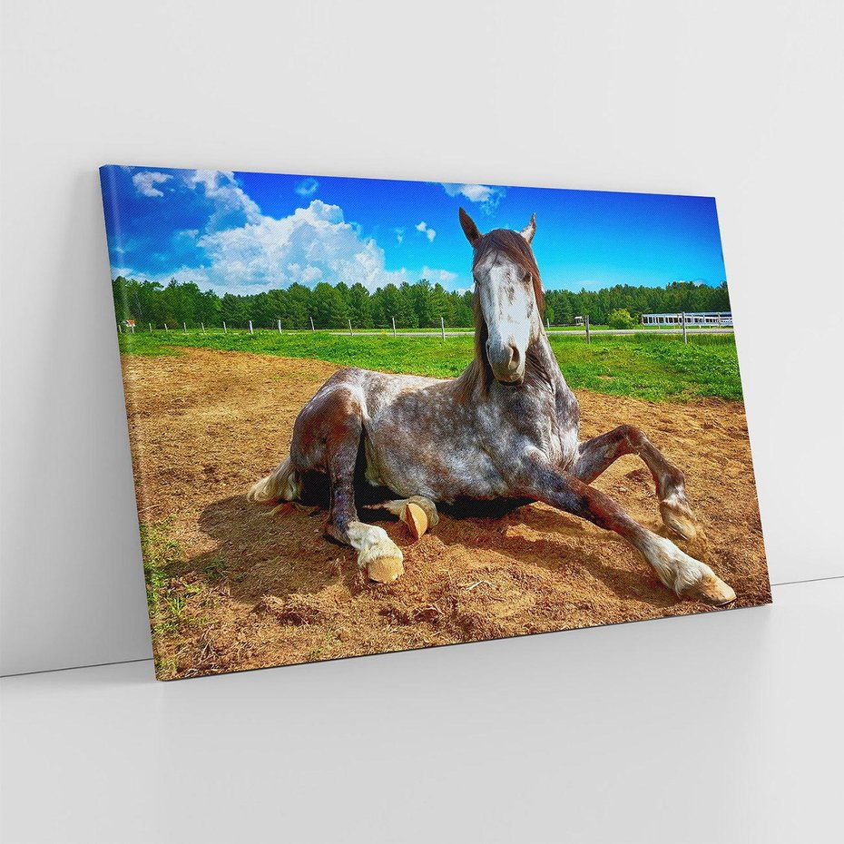 Obraz na płótnie 120x80 - Konie - siła natury - koń, konik