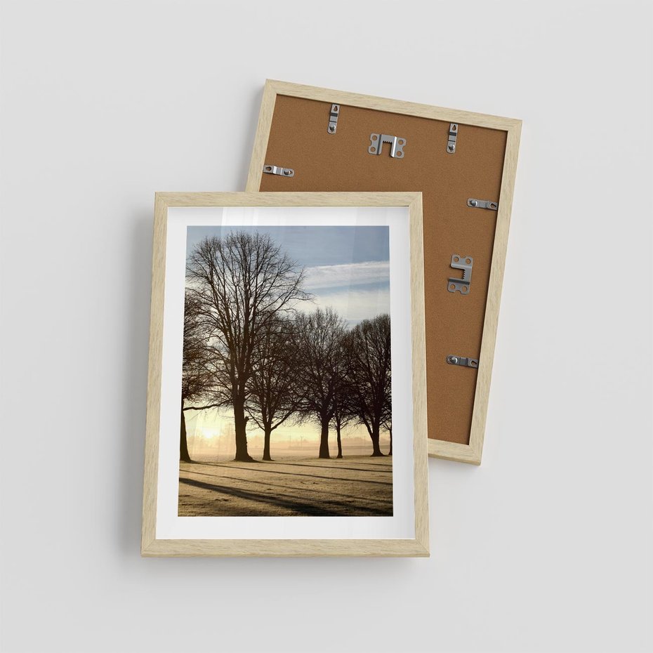 Plakat w ramie 30x40 - Siła natury - drzewa, pole - rama drewno