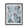 Plakat w ramie 40x50 - Zima na Gałęziach - zima, oszronione gałęzie - rama czarna