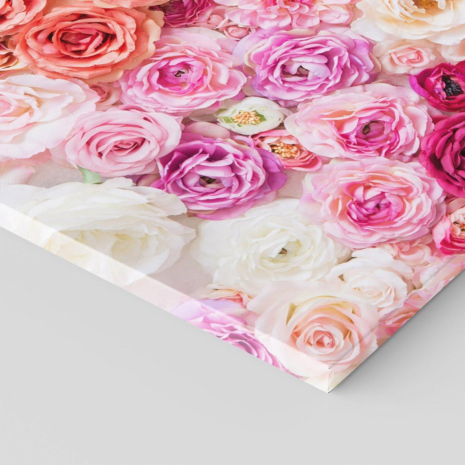 Obraz na płótnie 70x50 - Róże w pełnym rozkwicie - róże, kwiaty