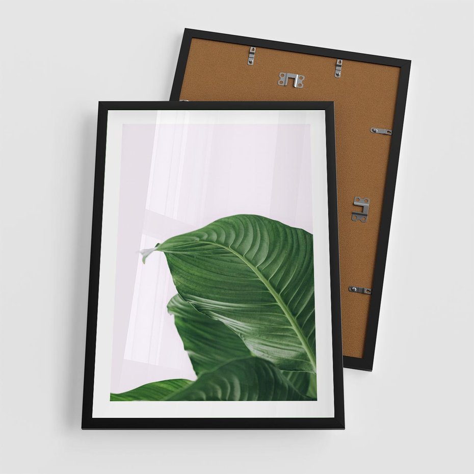 Plakat w ramie 50x70 - Zielone liście monstery - liście, monstera - rama czarna