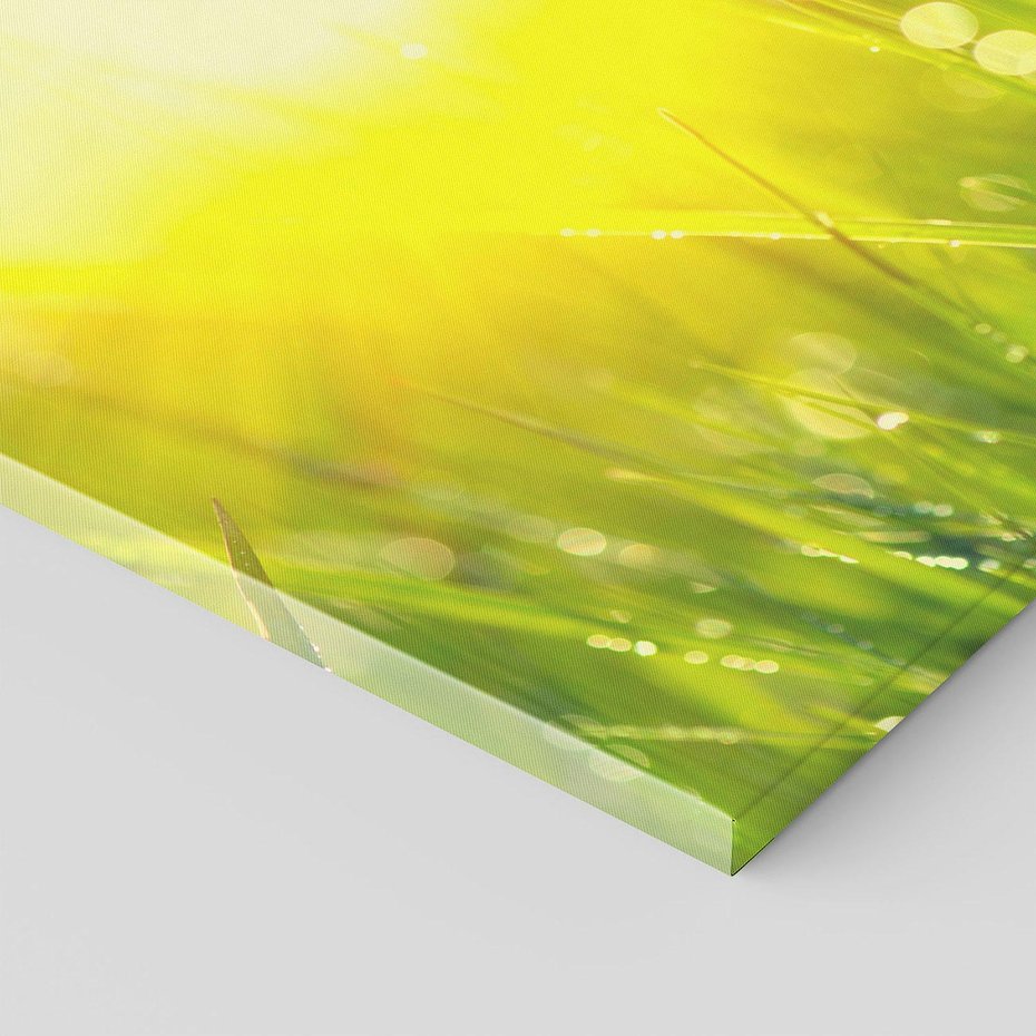 Obraz na płótnie 120x80 - Piękno Poranka - łąka, trawa